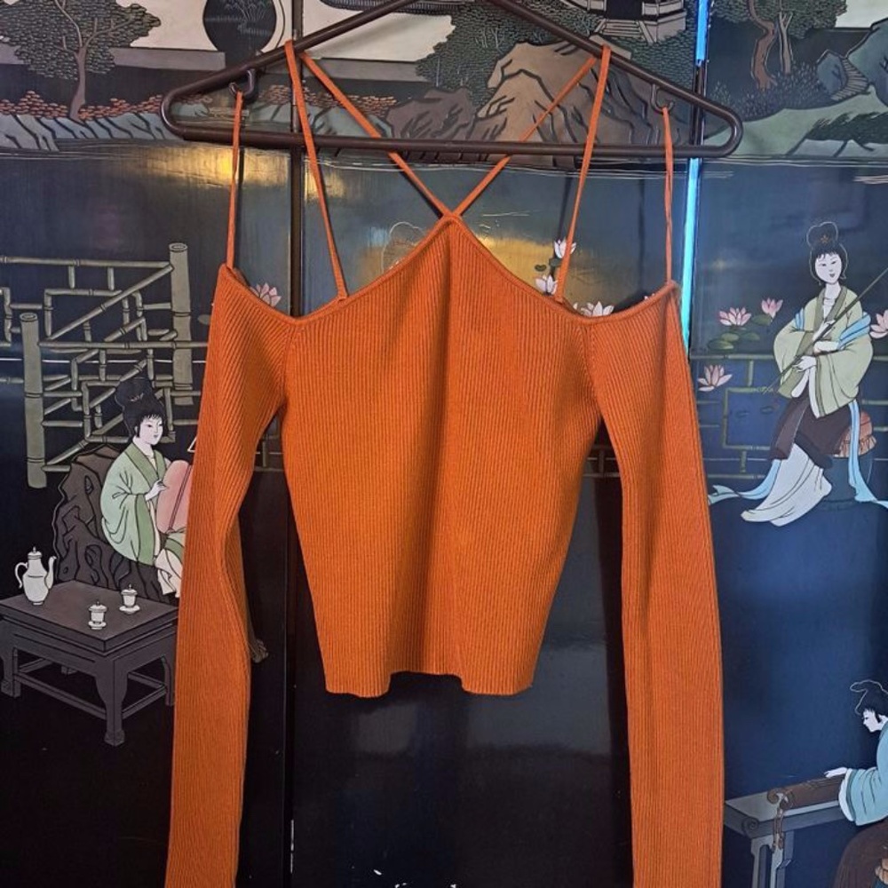 Zara Ombre Rust Orange Off Shoulder Long Sleeve School Fall Knit Crop Top